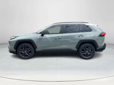Foto van Toyota RAV4
