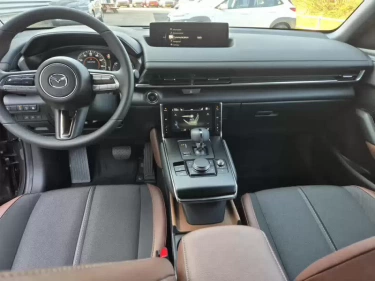 Foto van Mazda MX-30