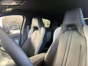 Foto van BYD DOLPHIN SURF