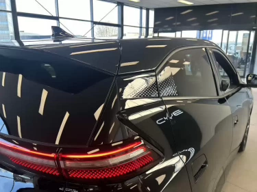 Foto van BYD DOLPHIN SURF