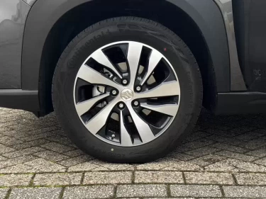 Foto van Suzuki S-Cross