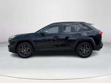 Foto van Toyota RAV4