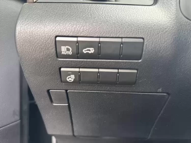 Foto van Lexus RX