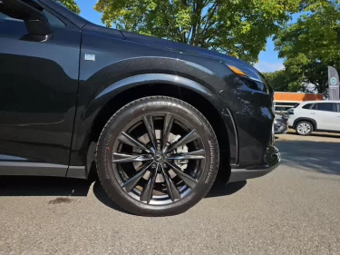 Foto van Lexus RX