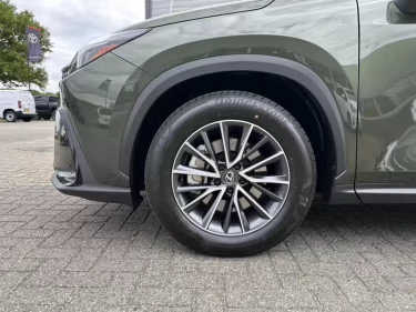 Foto van Lexus NX