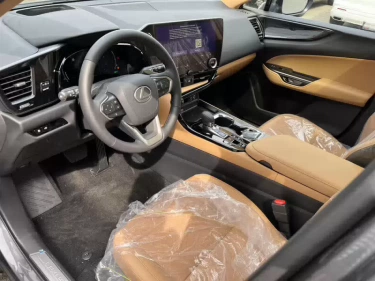 Foto van Lexus NX