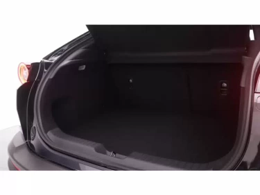 Foto van Mazda MX-30
