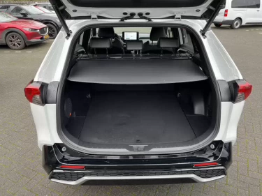 Foto van Toyota RAV4