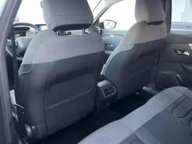 Foto van Citroën Ë-C4