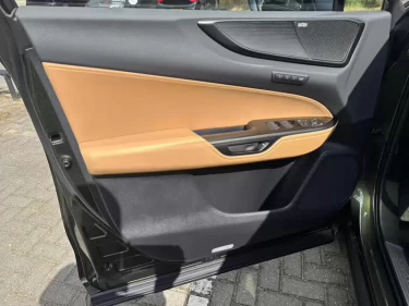 Foto van Lexus NX
