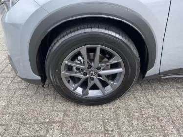 Foto van Lexus LBX