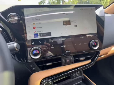 Foto van Lexus NX