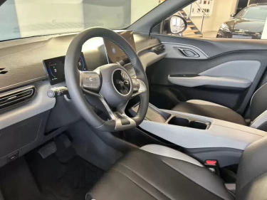 Foto van BYD DOLPHIN SURF