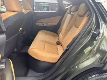 Foto van Lexus NX
