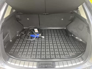 Foto van Lexus NX