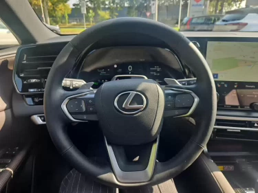 Foto van Lexus RX