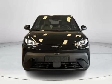 Foto van BYD DOLPHIN SURF