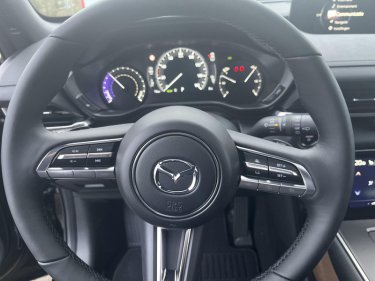 Foto van Mazda MX-30