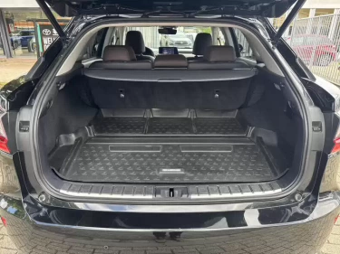 Foto van Lexus RX