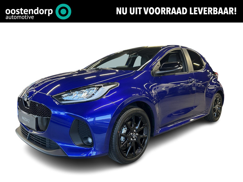 Afbeelding van de auto