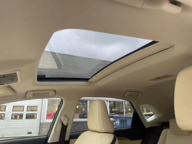 Foto van Lexus NX