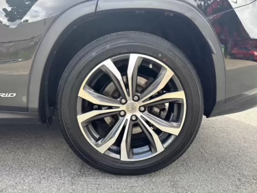 Foto van Lexus RX