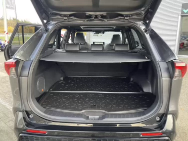 Foto van Toyota RAV4