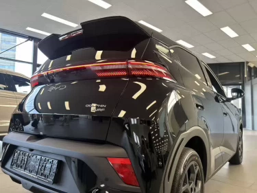 Foto van BYD DOLPHIN SURF