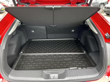 Foto van Toyota Prius