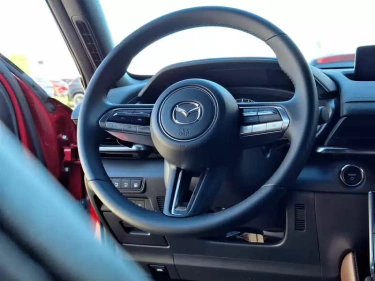 Foto van Mazda MX-30