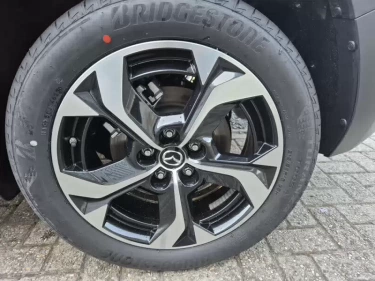 Foto van Mazda MX-30