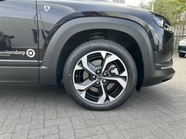 Foto van Mazda MX-30
