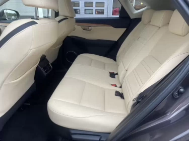 Foto van Lexus NX