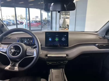 Foto van BYD DOLPHIN SURF