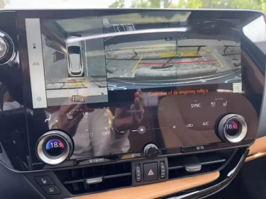 Foto van Lexus NX