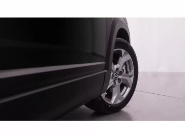 Foto van Mazda MX-30