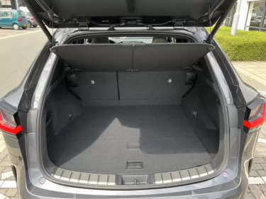 Foto van Lexus NX