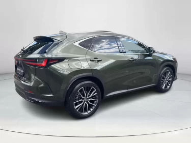 Foto van Lexus NX