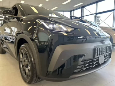 Foto van BYD DOLPHIN SURF