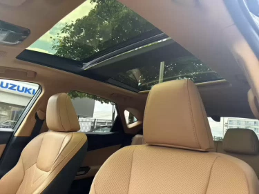 Foto van Lexus NX