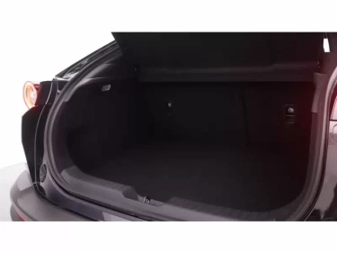 Foto van Mazda MX-30