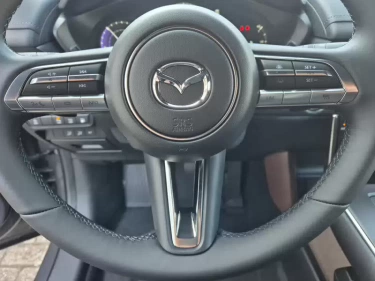 Foto van Mazda MX-30