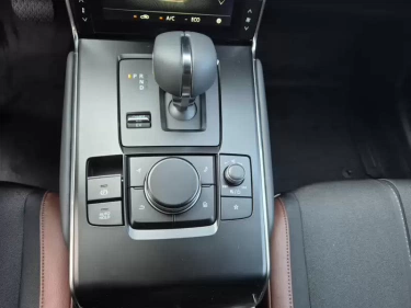 Foto van Mazda MX-30
