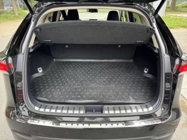 Foto van Lexus NX