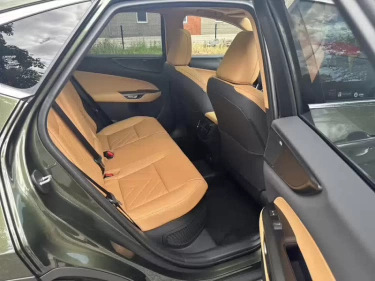 Foto van Lexus NX