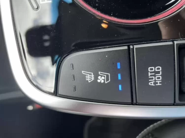 Foto van Kia e-Niro