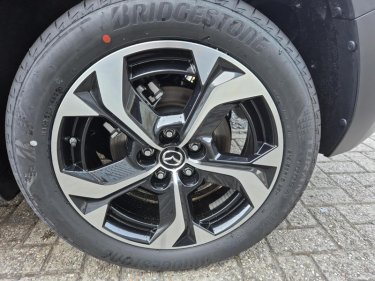 Foto van Mazda MX-30