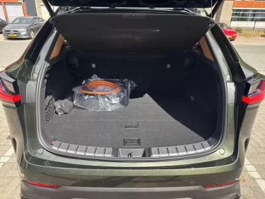 Foto van Lexus NX